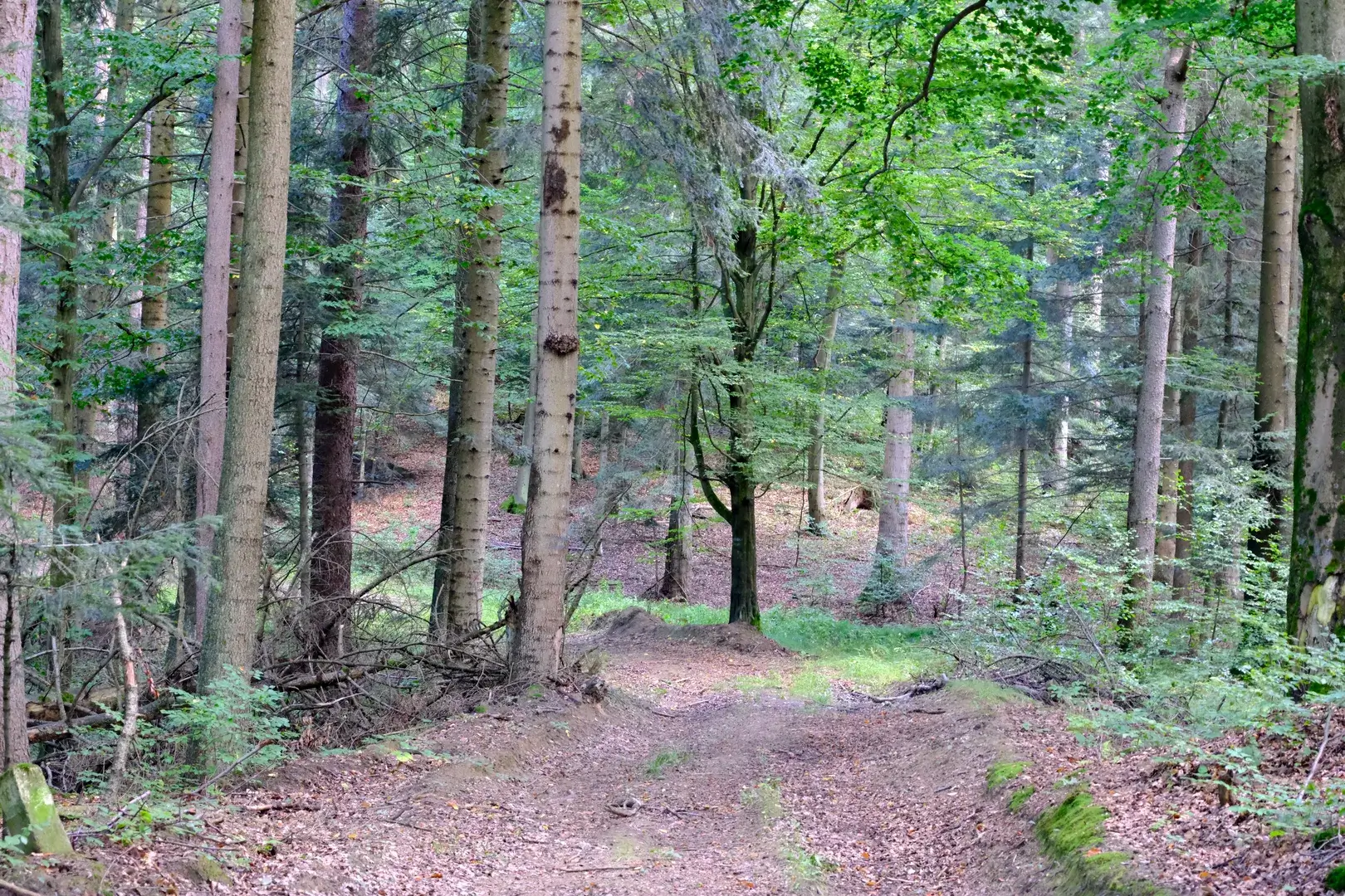 Początkowy fragment trasy Szlaku Wiary